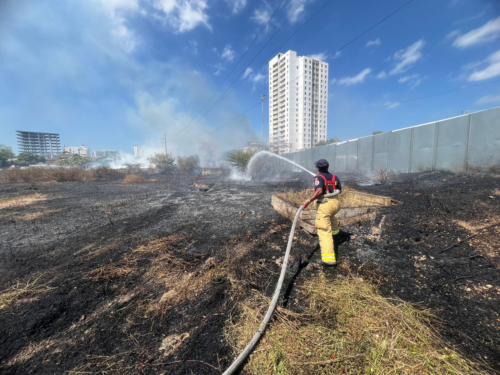 113 incendios forestales se registraron en febrero Visor Caribe